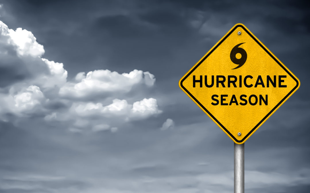 Hurricane Crisis Contingency & Checklist